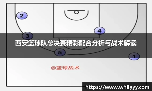 智博19有限公司